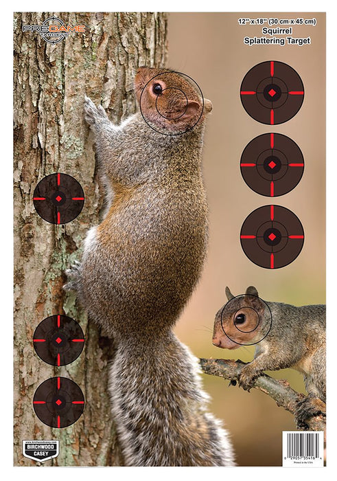 Birchwood Casey 35406 Pregame  Squirrel Paper Hanging Rifle 12" x 18" Impact Enhancement 8 Per Pkg