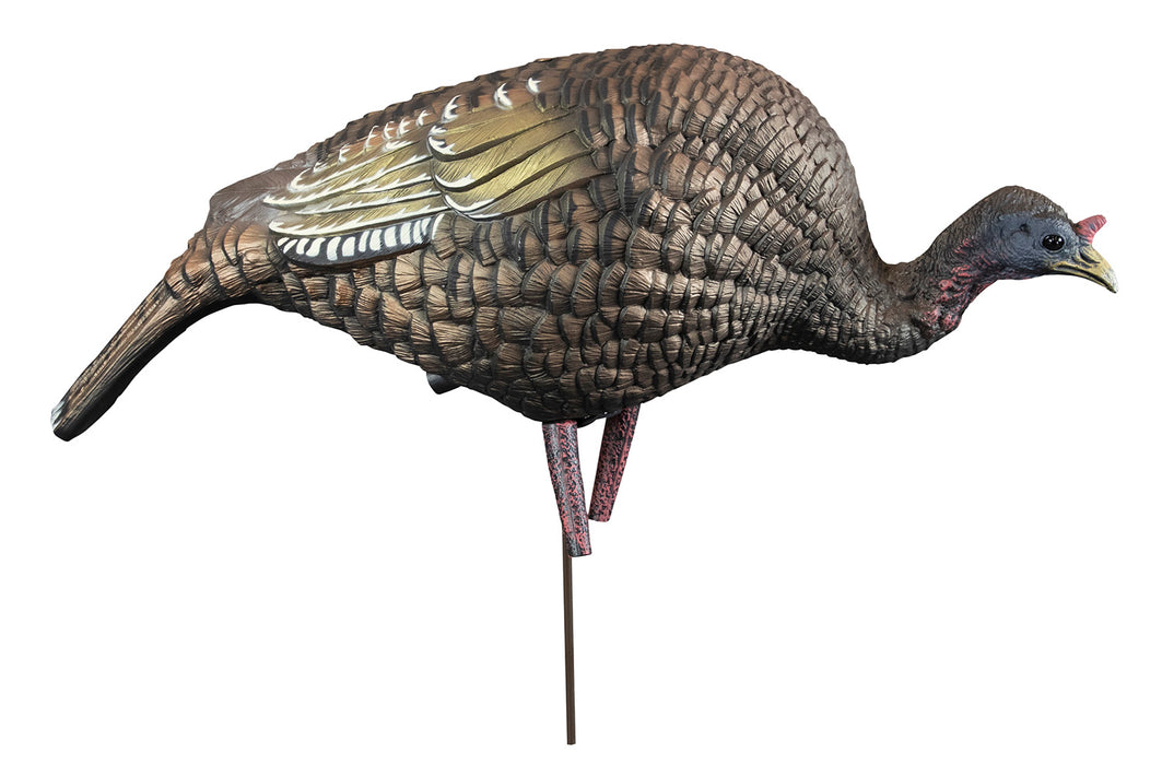 Higdon Outdoors 63122 Hard Body Feeder Hen Turkey Species Multi Color