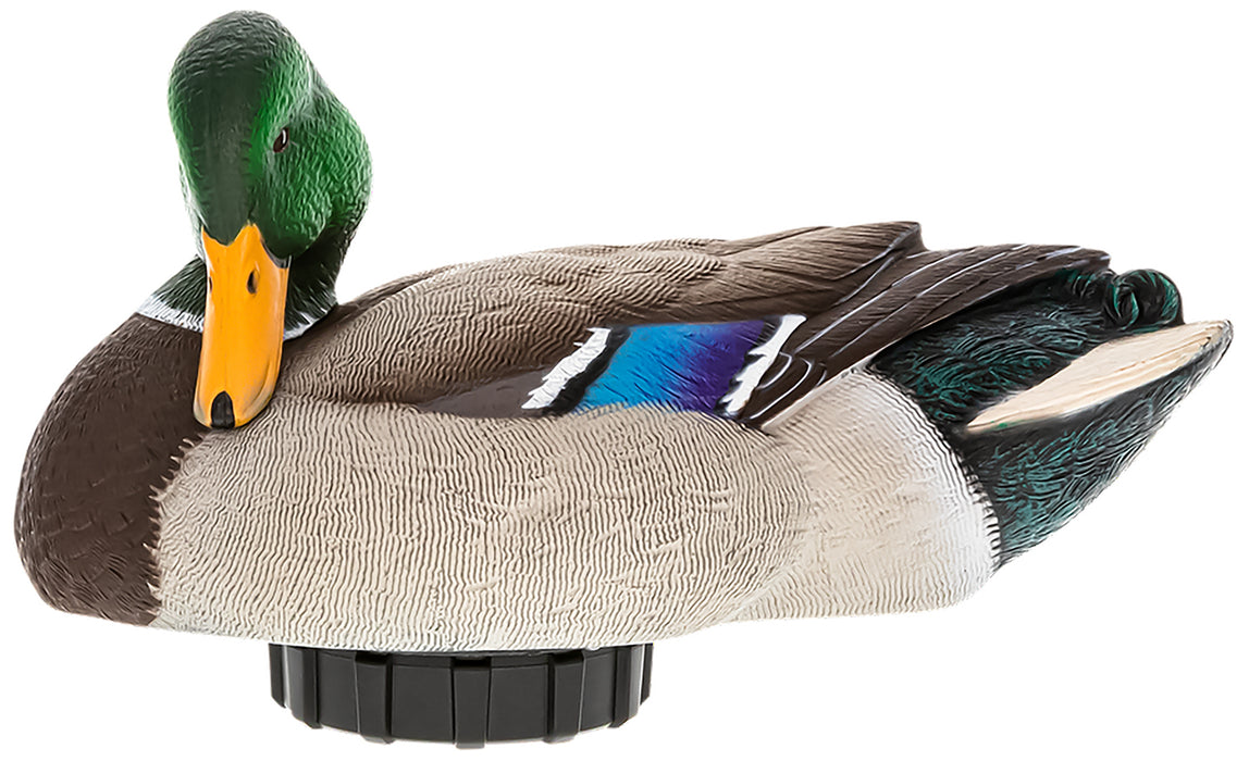 Avian X AVX-PSH-MDPR   Mallards Species Multi-Color