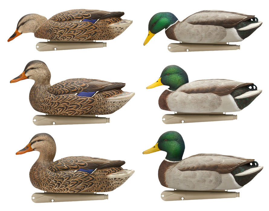 Avian X AVX-AVX8076 Topflight  Mallards Species Multi-Color