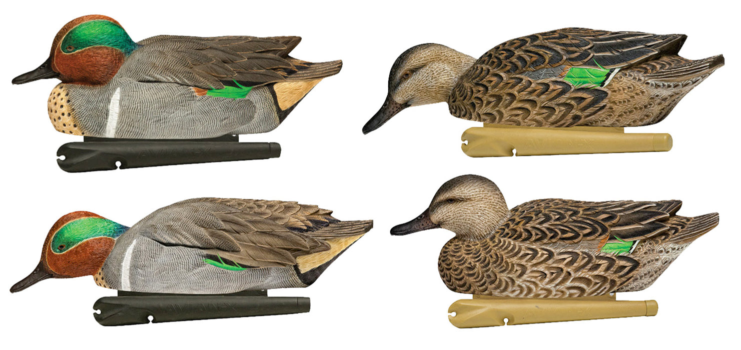 Avian X AVX-AVX8081 Topflight  Teal Species Multi-Color